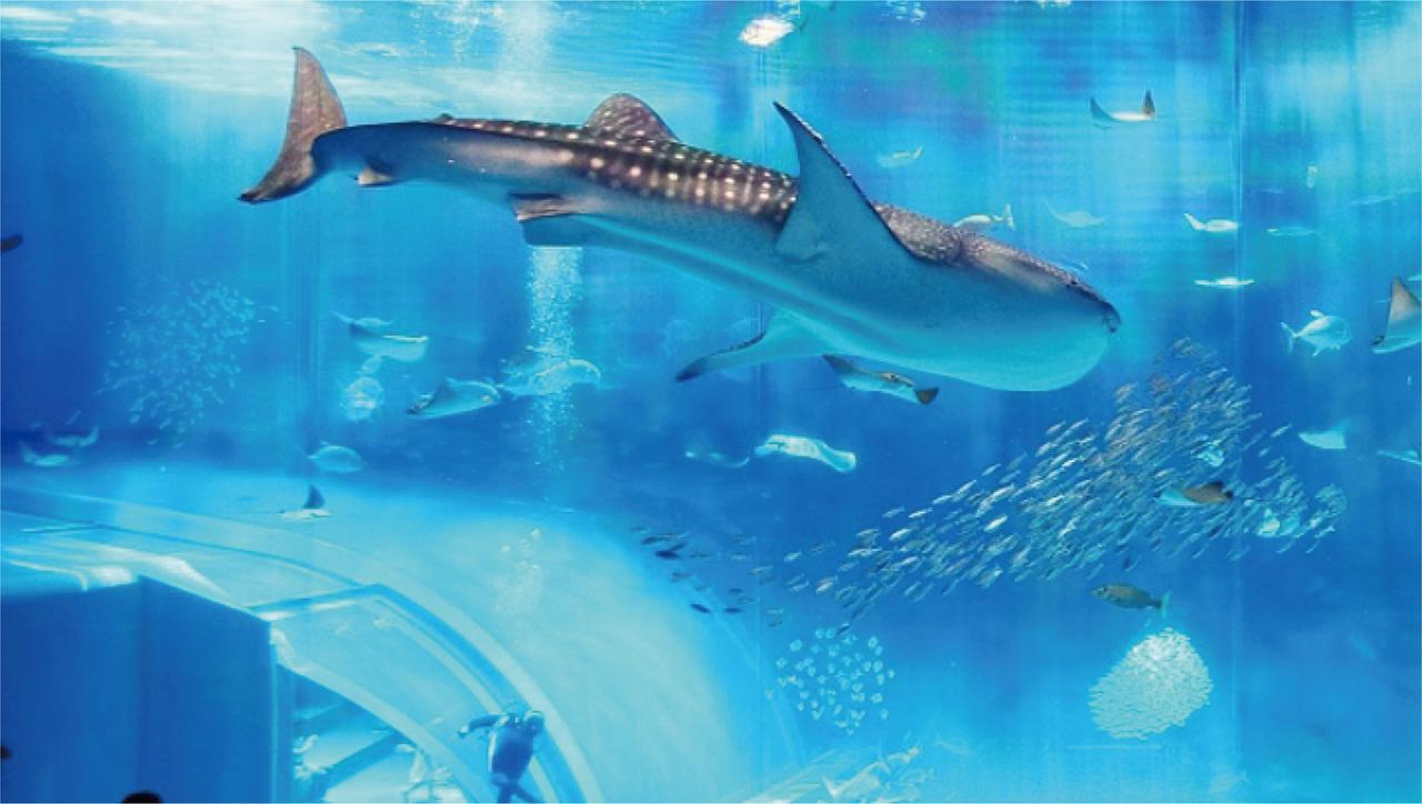 Yukurinaresort Okinawa Ocean Terrace Motobu Eksteriør bilde